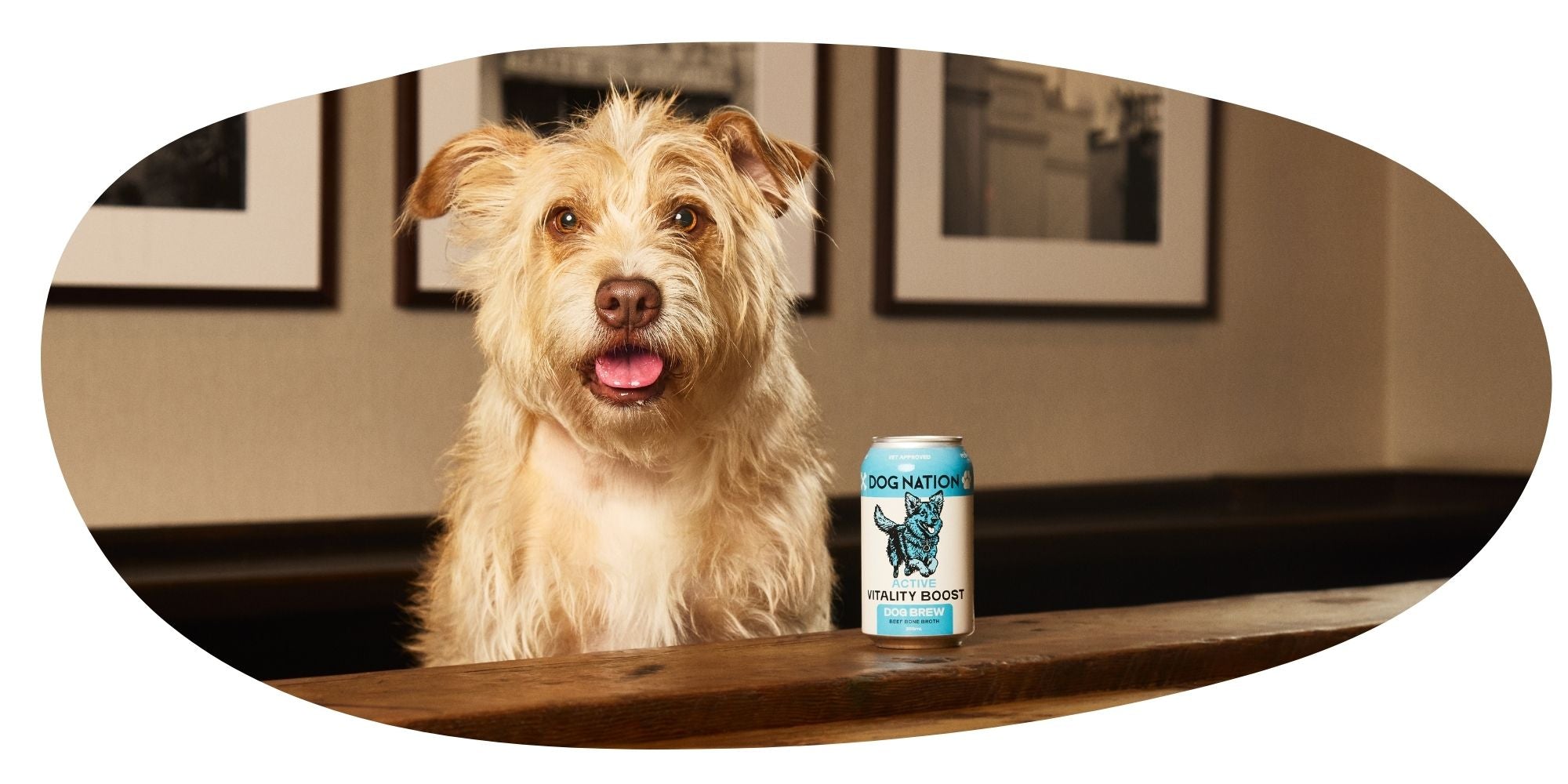 Maintaining Health For Active Dogs