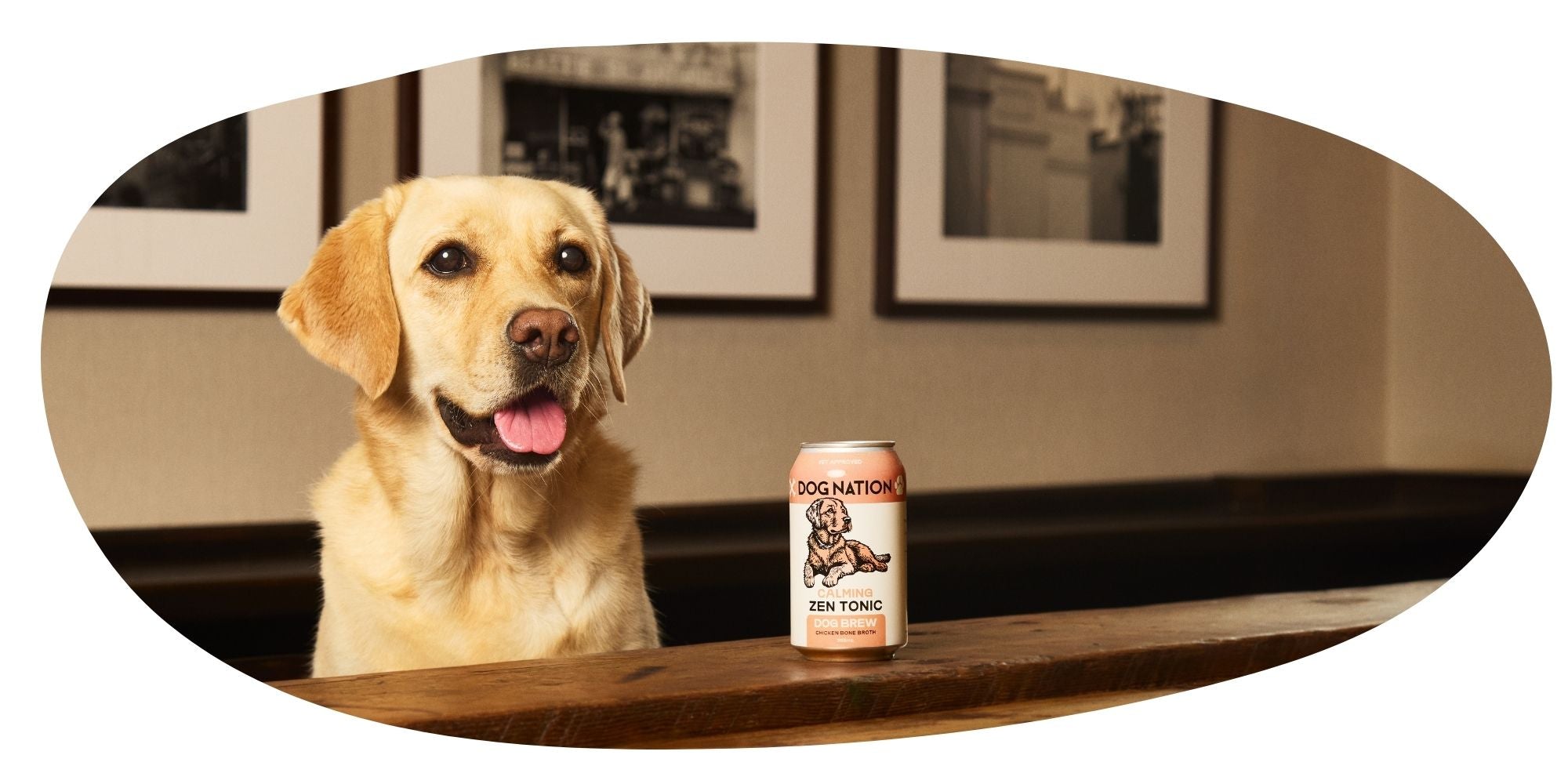 Managing Anxiety in Dogs