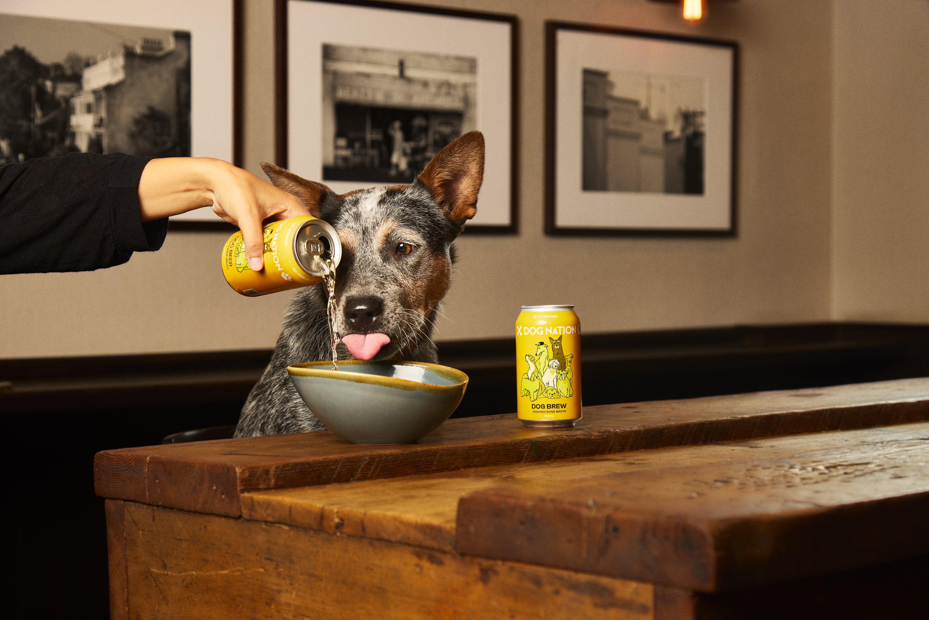 Chicken Brew