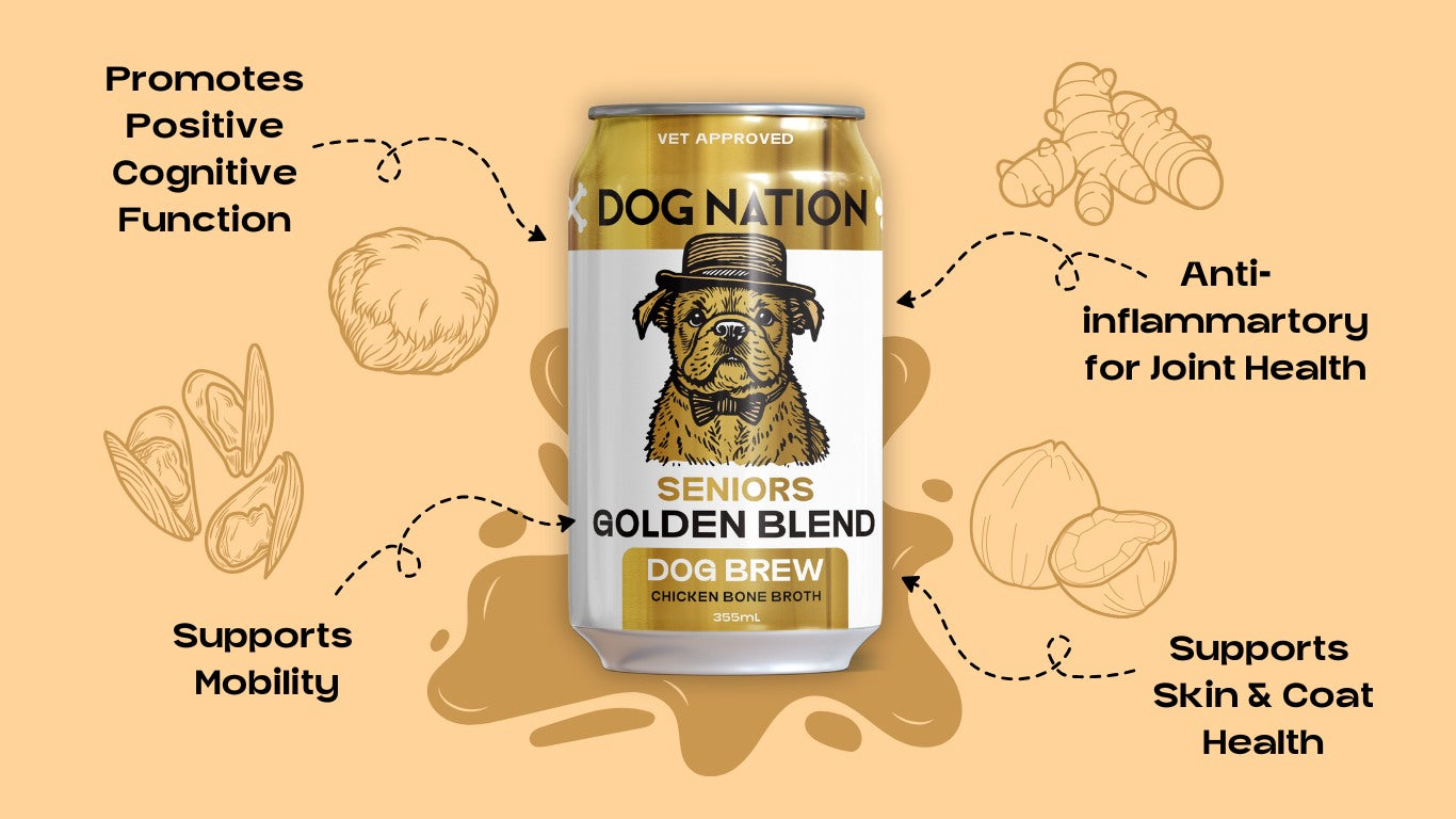 Seniors Brew
